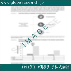 グローバルリサーチ調査資料のイメージ